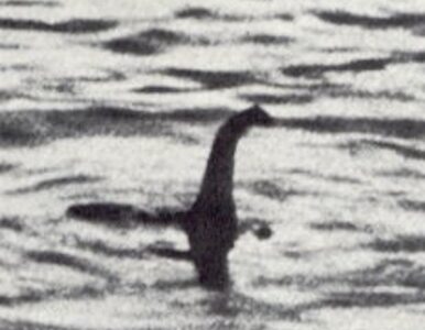Miniatura: Naukowcy zbadają jezioro Loch Ness. Będą...