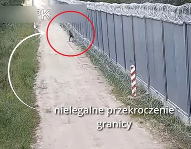 Miniatura: Migrant sforsował zaporę na granicy z...