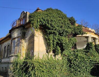 Miniatura: Stare sprawy zza Buga wciąż kosztują....