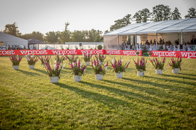 Al Khalediah European Arabian Horse Festival 2016