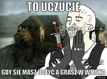 Mem inspirowany grami z serii Wiedźmin 