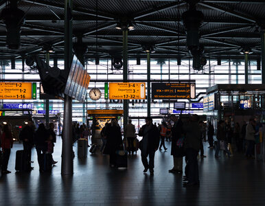 Miniatura: Strzały na lotnisku w Amsterdamie
