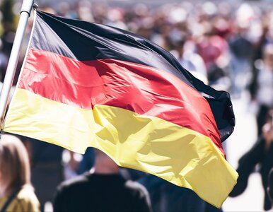 Miniatura: Niemiecki polityk krytykuje swój kraj....