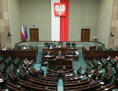 Miniatura: Znamy patronów 2023 roku. Sejm wybrał...