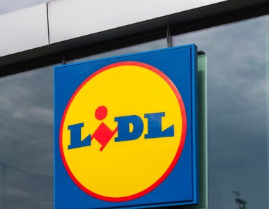 Miniatura: Lidl nie zwalnia tempa. Do pracowników z...