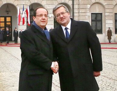 Miniatura: Hollande sojusznikiem Polski w walce o...