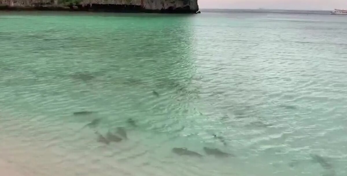 Nowe zdjęcia ze słynnej Maya Bay 