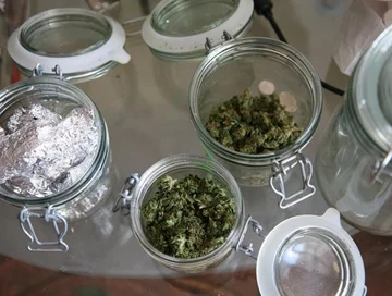 Śledczy zabezpieczyli ok. 200 gramów przygotowanego do sprzedaży wysuszonego oraz porcjowanego narkotyku (fot. Komenda Wojewódzka Policji w Poznaniu)