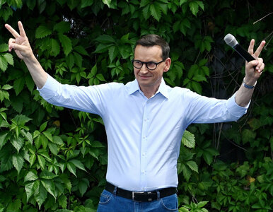 Miniatura: Ile kosztował grill u Morawieckiego?...