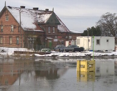 Miniatura: Cofka na Żuławach. Woda przekroczyła stany...