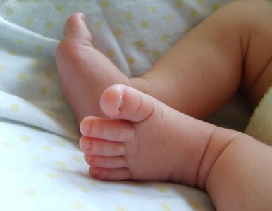 Miniatura: Tarnów: niemowlę z raną ciętą szyi