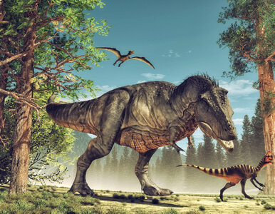 Miniatura: Dinozaury żyły na Ziemi, gdy ta była po...