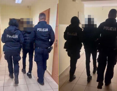 Miniatura: Koledzy brutalnie pobili 13-latkę....