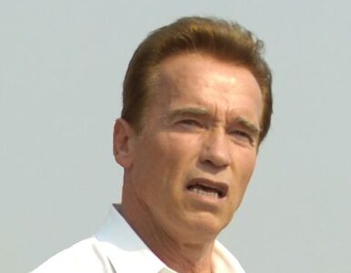 Miniatura: Schwarzenegger chwali "nadzwyczajny...