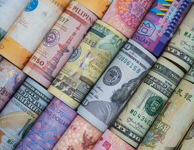 Miniatura: Kursy walut 13 października 2025. Po ile...