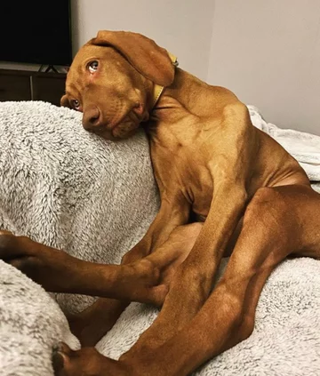 Sophie 