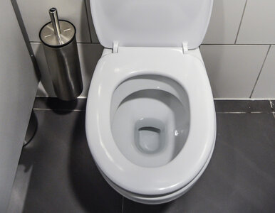 Miniatura: Jedna tabletka z kuchni i toaleta lśni jak...