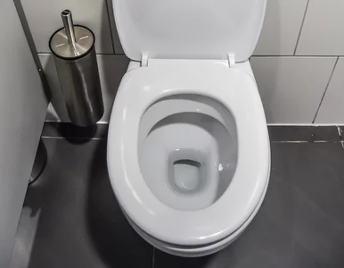Miniatura: Jedna tabletka z kuchni i toaleta lśni jak...