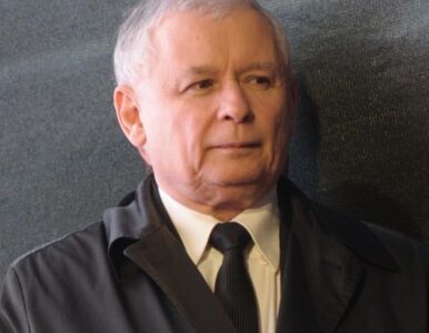 Miniatura: "Kaczyński sam nie wierzy, w to co mówi....