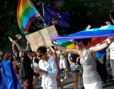 Miniatura: Geje i lesbijki krytykują Polskę
