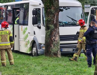 Miniatura: Bus w Zakopanem uderzył w drzewo. Dzieci...