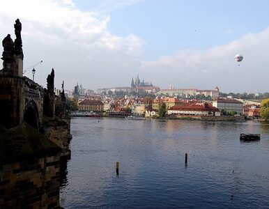 Miniatura: Powódź w Czechach - zalana Praga, przybywa...