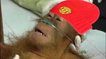 Mem po meczu Manchester United - Valencia 