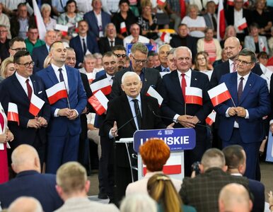 Miniatura: Kaczyński ostrzega przed „niemieckimi...