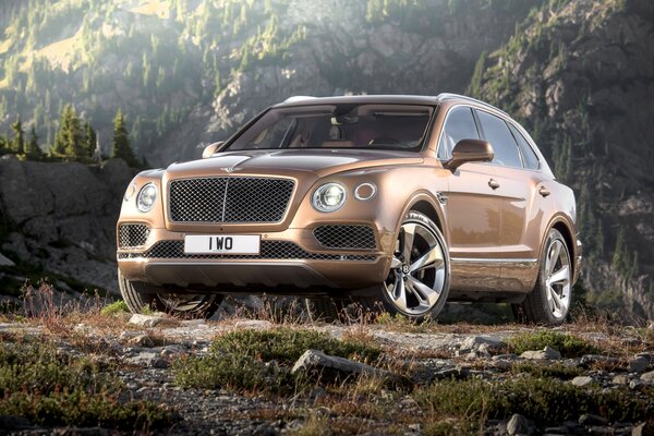 Miniatura: Bentley Bentayga