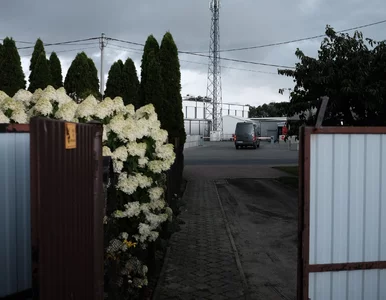 Miniatura: Dramat mieszkańców Goliny. Brat...