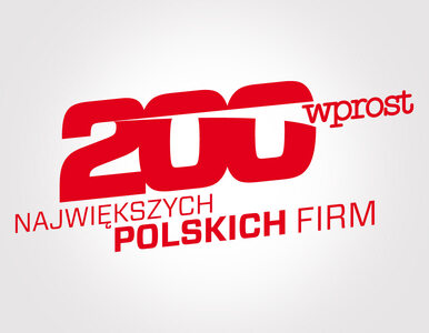Miniatura: 200 największych polskich firm
