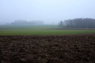 Jedni pomagają, ale drudzy się boją – Jakbym zobaczyła dziecko i kobietę, to bym na pewno dała jedzenie. Ale jakbym zobaczyła pięciu Irakijczyków, to bym uciekała – mówi jedna z mieszkanek wsi w okolicach Michałowa. – Dobrze, że wojsko nas broni! To jest najważniejsze, żeby nie to, to źle by było - stwierdza kolejny z mieszkańców.