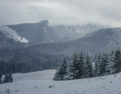 Miniatura: Złe warunki w Tatrach. TPN ostrzega przed...