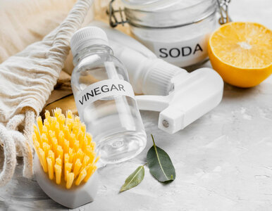 Miniatura: Ocet w domu – genialny do czyszczenia, ale...