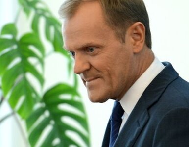 Miniatura: Tusk: Grad prezesem spółki? Ta nominacja...