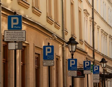 Miniatura: Rosną ceny za parkowanie w dużych...