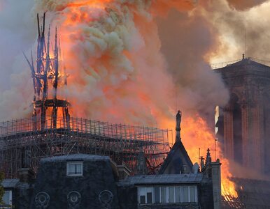 Miniatura: Zrobiła zdjęcie tuż przed pożarem Notre...