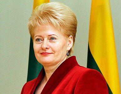 Miniatura: Prezydent Litwy nie dostrzega napięcia...