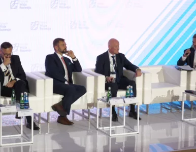 Miniatura: Kierunki rozwoju energetyki w Polsce