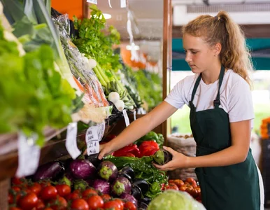 Miniatura: Polacy nie chcą pracować za 5 tys. zł...