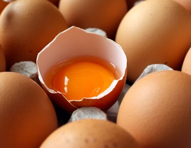 Miniatura: 20-latek założył się, że zje surowe jajka...