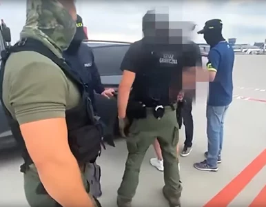 Miniatura: Łowcy cieni z imponującą serią....