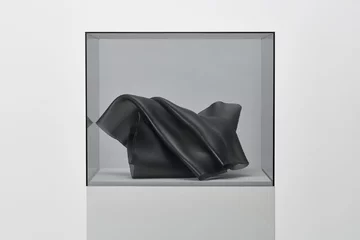 Marzena Krzemińska-Baluch, Emotions 