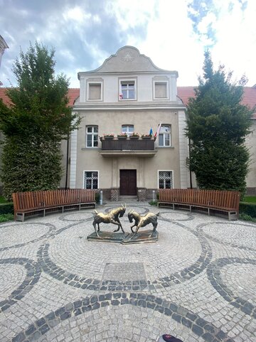 Koziołki w&nbsp;Poznaniu