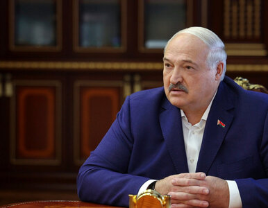 Miniatura: Łukaszenka podlizał się Trumpowi. Wskazał...