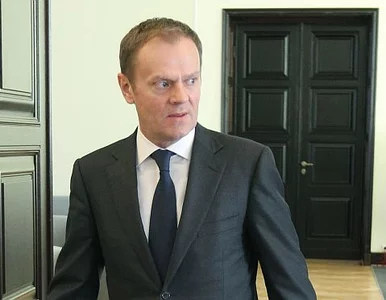 Miniatura: Europosłanka PO: Tusk i jego popularność...