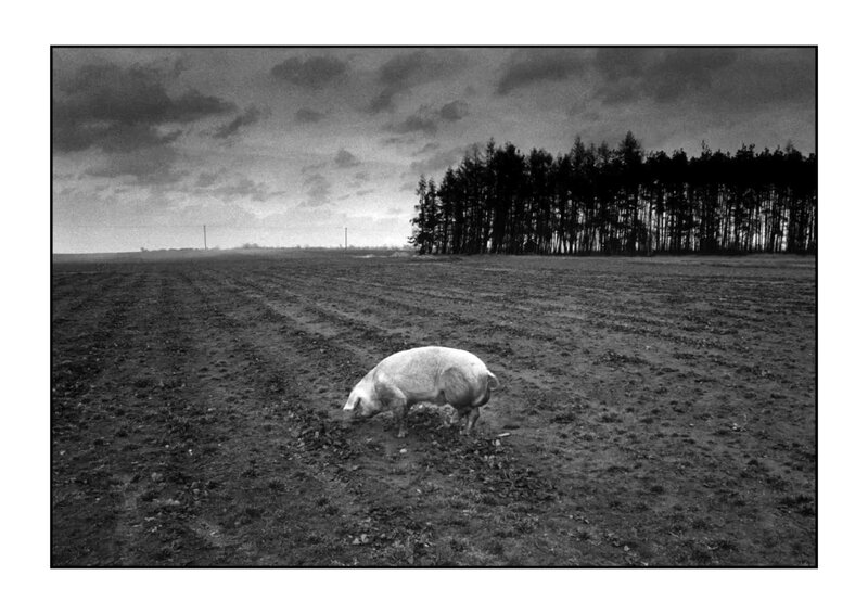 Fotografie Stanisława Cioka z&nbsp;lat 80. i&nbsp;90. oraz&nbsp;z&nbsp;ostatniego cyklu &bdquo;Bezsenna&rdquo; prezentowane na&nbsp;wystawie &bdquo;Stanisław Ciok. Fotografie&rdquo; w&nbsp;Starej Galerii ZPAF w&nbsp;Warszawie