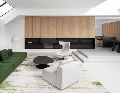 Miniatura: Apartament w garażu. Sposób na kryzys...