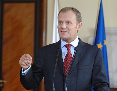 Miniatura: Tusk: mój pomnik bardzo mi się podoba