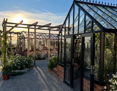 Miniatura: Marzysz o szklarni? Zobacz, co będzie...